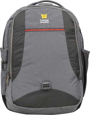 Liviya SB-1388 33 L Backpack(Grey)