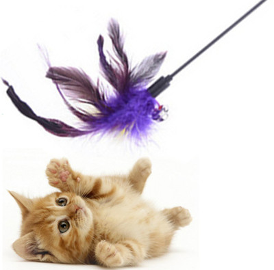 Anokhe Collections Pet Cat Toy,Feather Teaser Stick Plastic Training Aid, Fetch Toy, Tug Toy For Cat
Anokhe Collections Pet Cat Toy,Feather Teaser Stick Plastic Training Aid, Fetch Toy, Tug Toy For Cat