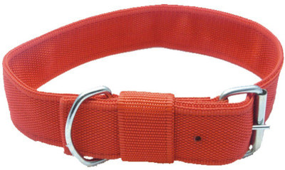 SICONS Dog Collar Sicons PP XL Adjustable Plain Red 1.25 inch Plain Dog Collar Charm(Red, Round)
SICONS Dog Collar Sicons PP XL Adjustable Plain Red 1.25 inch Plain Dog Collar Charm(Red, Round)