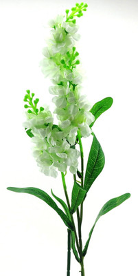 Importwala White Assorted Artificial Flower(34.5 inch, Pack of 1)
Importwala White Assorted Artificial Flower(34.5 inch, Pack of 1)