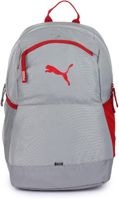 Puma Power 23 L Backpack(Grey)