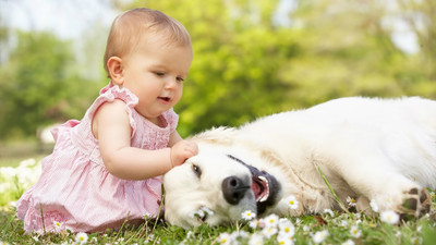 Cute Smile Baby For Pregant Women Baby Poster HD Qualit Paper 12 * 18 Inch Qty 1 (Size - A3) Paper Print(12 inch X 18 inch, Rolled)
Cute Smile Baby For Pregant Women Baby Poster HD Qualit Paper 12 * 18 Inch Qty 1 (Size - A3) Paper Print(12 inch X 18 inch, Rolled)