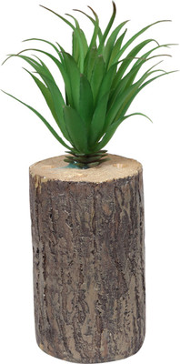 Jainsons Pet Products Gravel Planted Substrate(Green)
