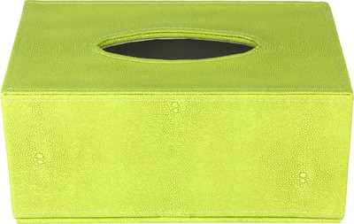 fabbity Fab 31 Vehicle Tissue Dispenser(Green)