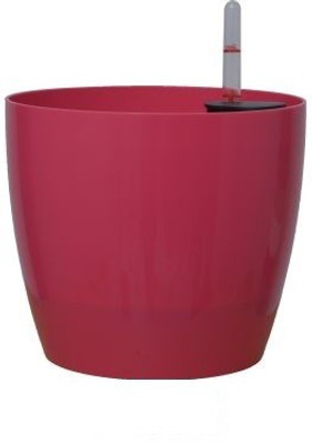 Minerva Naturals Self watering planter 9'' Pink color (PACK OF 1) 23 cm x 20 cm Plant Container Set(Plastic)
Minerva Naturals Self watering planter 9'' Pink color (PACK OF 1) 23 cm x 20 cm Plant Container Set(Plastic)