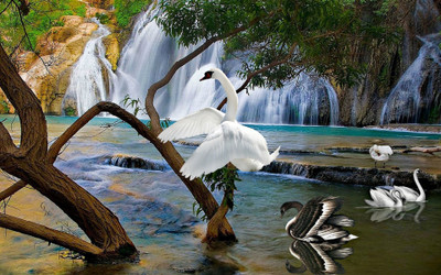 KumkumArts Birds Wall Sticker Poster 12 x 18 Inch HD Quality Material Gloss Paper. Paper Print(18 inch X 12 inch, Rolled)
KumkumArts Birds Wall Sticker Poster 12 x 18 Inch HD Quality Material Gloss Paper. Paper Print(18 inch X 12 inch, Rolled)