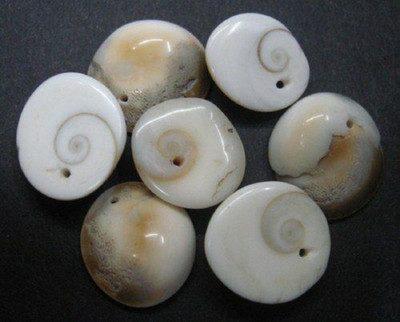 SHIVOHAM Maha Laxmi Gomti Chakra ( 21pcs ) Decorative Showpiece - 3 cm(Stoneware, White, Brown)
SHIVOHAM Maha Laxmi Gomti Chakra ( 21pcs ) Decorative Showpiece - 3 cm(Stoneware, White, Brown)