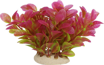 Jainsons Laterite Planted Substrate(Multicolor)