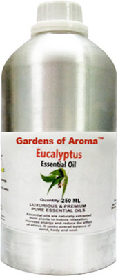 Gardens Of Aroma Eucalyptus(250 ml)