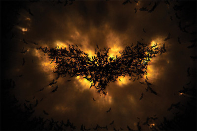 the-dark-knight-rises-batman-mo…0x1600. Poster Paper Print(18 inch X 12 inch, Rolled)
the-dark-knight-rises-batman-mo…0x1600. Poster Paper Print(18 inch X 12 inch, Rolled)