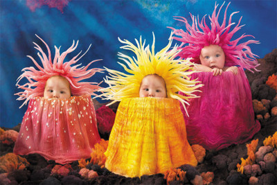 cute babies poster113 Paper Print(18 inch X 12 inch, Rolled)