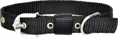 Leather Craft Dog Everyday Collar(, Black