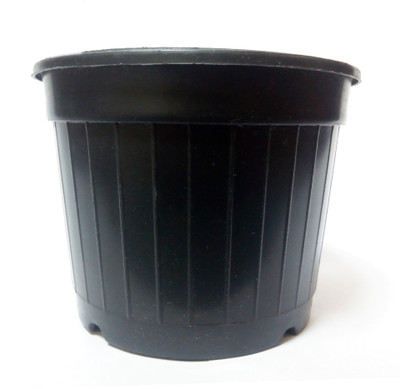 BHAIRAVI STUDIO Nursery Plant container 4x3.2 inch ( set of 8) Plant Container Set(Pack of 8, Plastic)
BHAIRAVI STUDIO Nursery Plant container 4x3.2 inch ( set of 8) Plant Container Set(Pack of 8, Plastic)