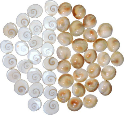 SHIVOHAM Maha Laxmi Gomti Chakra 21pcs ( Stoneware ) Decorative Showpiece - 3 cm(Stoneware, Brown, White)
SHIVOHAM Maha Laxmi Gomti Chakra 21pcs ( Stoneware ) Decorative Showpiece - 3 cm(Stoneware, Brown, White)