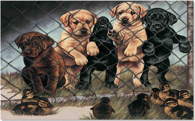 Sehaz Artworks 5-Puppy Sign(1)
