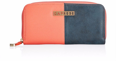 Caprese Casual Blue, Pink Clutch