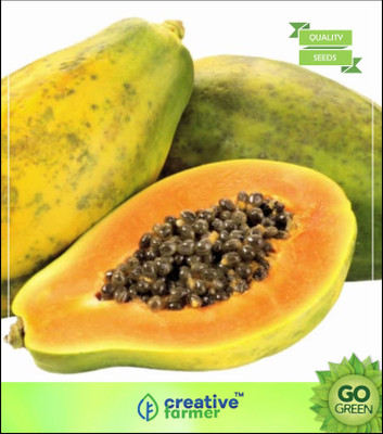 Creative Farmer Papaya Fruit Seeds Mixed Varieties Fruit Seeds For Garden Seed(20 per packet)
Creative Farmer Papaya Fruit Seeds Mixed Varieties Fruit Seeds For Garden Seed(20 per packet)