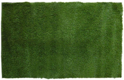 Corsa PVC Nylon Yoga and Exercise Mat(Green, Free)