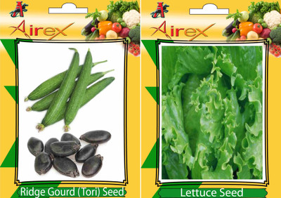 Airex Ridge Gourd (Tori), Lettuce Seed(25 per packet)
Airex Ridge Gourd (Tori), Lettuce Seed(25 per packet)