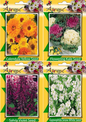 Airex Calendula Yellow, Flowering Kale, Salvia Violet, and Gypsophila Snow White Seed(15 per packet)
Airex Calendula Yellow, Flowering Kale, Salvia Violet, and Gypsophila Snow White Seed(15 per packet)