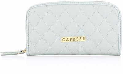 Caprese Casual Blue Clutch