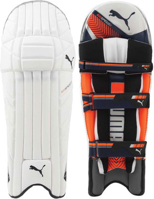 Puma Evo Speed 2 Men's (39 - 43 cm) Batting Pad(White, Men)