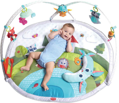 Delia Meadow Day's Dynamic Gymini(Multicolor)