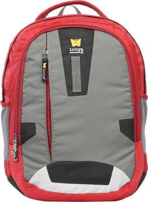 Liviya SB-1182 37 L Backpack(Grey, Red)