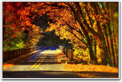 Akhuratha Wall Poster Leaves falling on Bridge Paper Print(12 inch X 18 inch, Rolled)
Akhuratha Wall Poster Leaves falling on Bridge Paper Print(12 inch X 18 inch, Rolled)