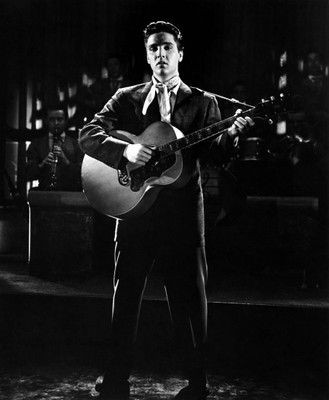 Akhuratha Designs Wall Poster Elvis Presley Paper Print(12 inch X 18 inch, Rolled)
Akhuratha Designs Wall Poster Elvis Presley Paper Print(12 inch X 18 inch, Rolled)