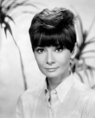 Wall Poster Audrey Hepburn Paper Print(12 inch X 18 inch, Rolled)