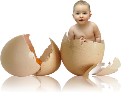Cute Baby Born in A Egg Beautiful Poster for You Photographic Paper(12 inch X 18 inch)
Cute Baby Born in A Egg Beautiful Poster for You Photographic Paper(12 inch X 18 inch)