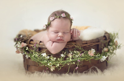 People Children A small sleeping baby in a basket on fine art paper 13x19 Paper Print(19 inch X 13 inch, Rolled)
People Children A small sleeping baby in a basket on fine art paper 13x19 Paper Print(19 inch X 13 inch, Rolled)