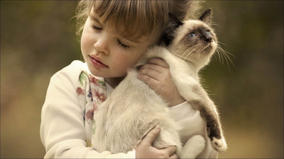 People Children Little girl hugging a kitten on fine art paper 13x19 Paper Print(19 inch X 13 inch, Rolled)
People Children Little girl hugging a kitten on fine art paper 13x19 Paper Print(19 inch X 13 inch, Rolled)
