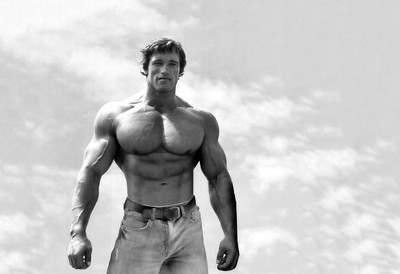 Arnold Wallpaper 2 on fine art paper 13x19 Fine Art Print(19 inch X 13 inch, Rolled)
Arnold Wallpaper 2 on fine art paper 13x19 Fine Art Print(19 inch X 13 inch, Rolled)