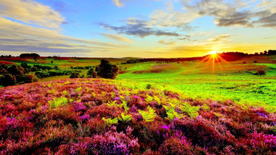 sunrise with flower astrology ON LARGE PRINT 36X24 INCHES Photographic Paper(24 inch X 36 inch, Rolled)
sunrise with flower astrology ON LARGE PRINT 36X24 INCHES Photographic Paper(24 inch X 36 inch, Rolled)