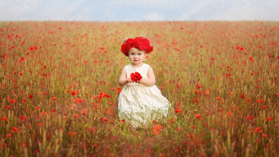 People Children Little girl in a field of red poppies on LARGE PRINT 36X24 INCHES Photographic Paper(36 inch X 24 inch, Rolled)
People Children Little girl in a field of red poppies on LARGE PRINT 36X24 INCHES Photographic Paper(36 inch X 24 inch, Rolled)