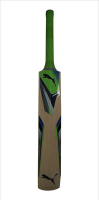Puma EVOSPEED Chromium Force GT (SH-) Kashmir Willow Cricket Bat(1.170 kg