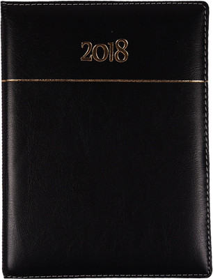 Atlas Regular Diary(V-150 Vision Diary, Black)