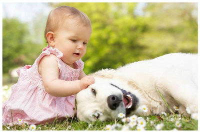 Akhuratha Wall Poster For Room Cute Adorable Baby Child's Love New Born Infant Kids Toddlers Smiling Paper Print(12 inch X 18 inch, Rolled)
Akhuratha Wall Poster For Room Cute Adorable Baby Child's Love New Born Infant Kids Toddlers Smiling Paper Print(12 inch X 18 inch, Rolled)