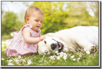Cute baby girl with dog Print Poster on LARGE PRINT 36X24 INCHES Photographic Paper(36 inch X 24 inch, Rolled)
Cute baby girl with dog Print Poster on LARGE PRINT 36X24 INCHES Photographic Paper(36 inch X 24 inch, Rolled)