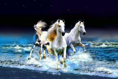 WINNER HORSES poster Fine Art Print(24 inch X 39 inch)