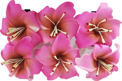 Kabello Party Wear Combo Flowers Hair Pins / Tic Tac Hair Clip For Bun Maker Tic Tac Clip(Pink)
Kabello Party Wear Combo Flowers Hair Pins / Tic Tac Hair Clip For Bun Maker Tic Tac Clip(Pink)