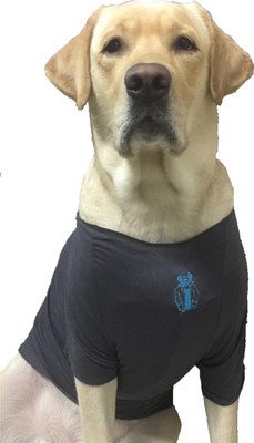Wagging Fashion T-shirt for Dog(Grey)