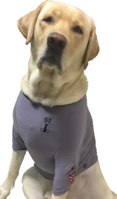 Wagging Fashion T-shirt for Dog(Grey)