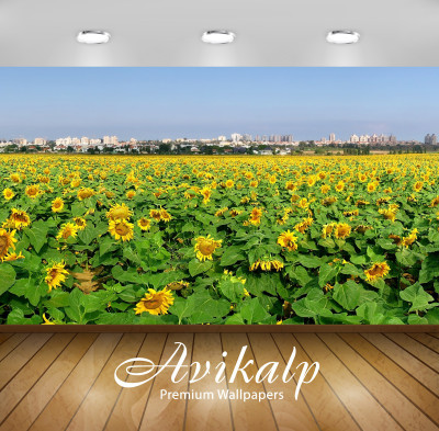 Avikalp Nature Wallpaper(60.96 cm X 91.44 cm)