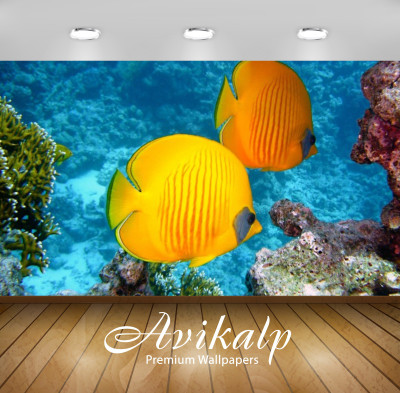 Avikalp Nature Wallpaper(60.96 cm X 91.44 cm)