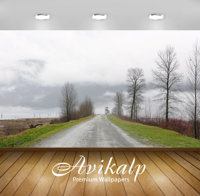Avikalp Nature Wallpaper(60.96 cm X 91.44 cm)