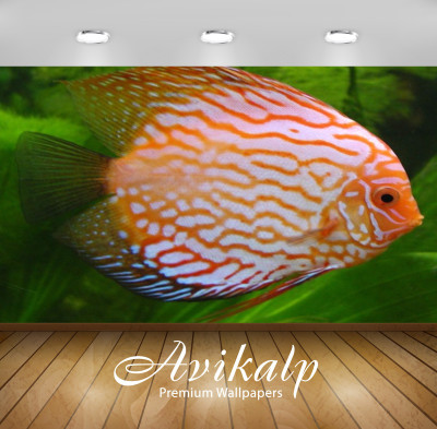 Avikalp Nature Wallpaper(60.96 cm X 91.44 cm)