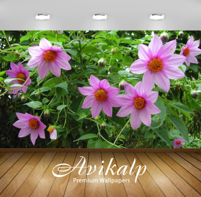 Avikalp Nature Wallpaper(60.96 cm X 91.44 cm)